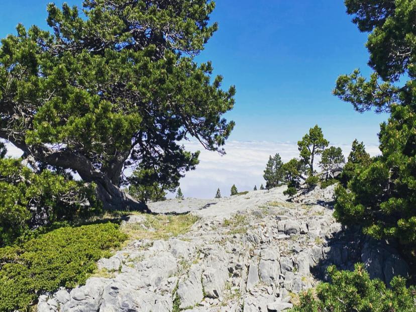 Beth Ceu - 4 Pers - Vacances- *